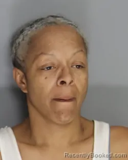 Mugshot of DOROTHY CHEATHAM booked in Aiken County, South Carolina on April 5, 2026