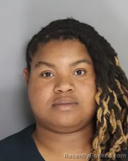 Mugshot of KIERSTEN ROBINSON booked in Aiken County, South Carolina on June 17, 2026