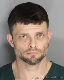 Mugshot of DAVID ROBINSON