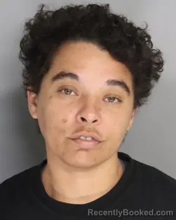 Mugshot of TARRA JOHNSON booked in Aiken County, South Carolina on July 13, 2026