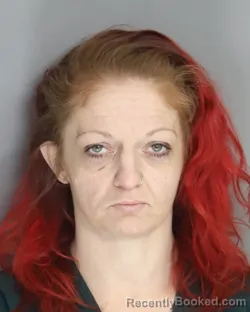 Mugshot of ROBIN HOLCOMBE