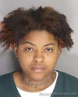 Mugshot of JORIYANNA SCURRY
