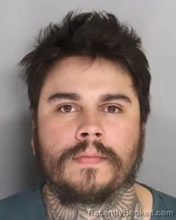 Mugshot of MICHAEL WILSON