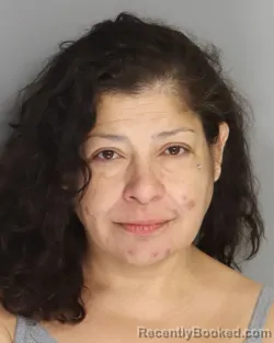 Mugshot of LIZETH PEREZ