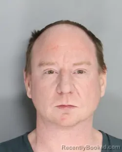 Mugshot of RYAN LEESON