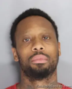 Mugshot of STETSON MIMS