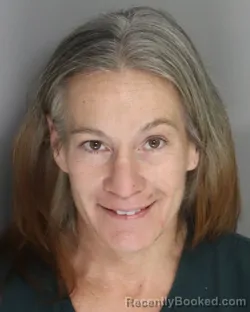 Mugshot of LISA RENO