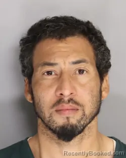 Mugshot of BYRON LEE