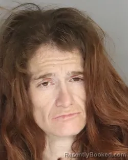 Mugshot of BRANDY OLDHAM