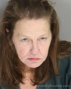 Mugshot of SUSAN PHILLIPS