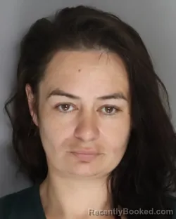 Mugshot of AMANDA HAYS