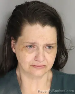 Mugshot of ASHLEY ADDINGTON