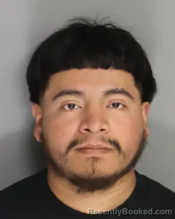 Mugshot of ADOLFO HERRERA booked in Aiken County, South Carolina on July 11, 2026