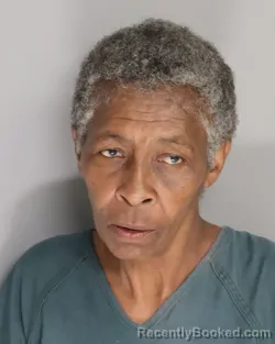 Mugshot of DEBRA WOODEN