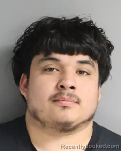 Mugshot of CARLOS CEJA