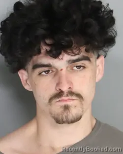 Mugshot of CHRISTOPHER BRYER