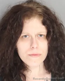 Mugshot of CHRISTIAN VOLLMER