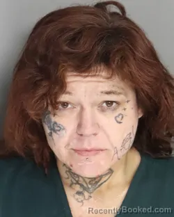 Mugshot of CHRISTY PEEPLES booked in Aiken County, South Carolina on June 28, 2026
