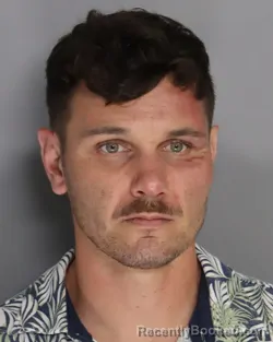 Mugshot of WILLIAM WHITE