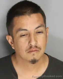 Mugshot of MARIANO SANDOVAL