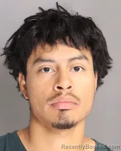 Mugshot of RICARDO GIL