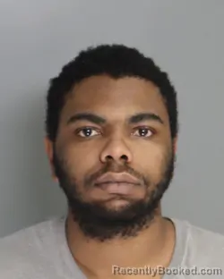 Mugshot of TED GRAYSON