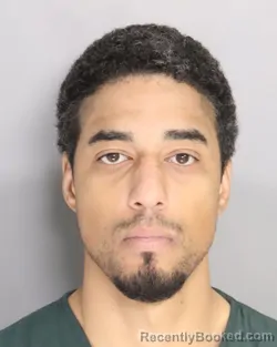 Mugshot of MICHAEL DAVIS