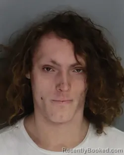 Mugshot of JOSHUA WATSON