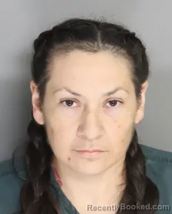 Mugshot of DEANA SANCHEZ