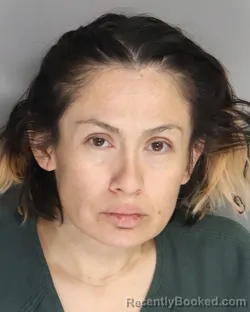 Mugshot of YIZZA MORENO