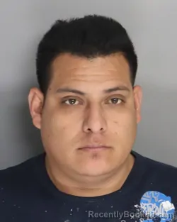 Mugshot of LINDOLFO ORELLANA TRACIOUS