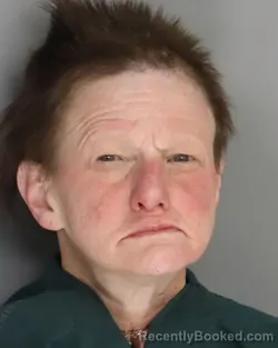 Mugshot of SANDRA FABIAN