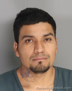 Mugshot of NELSON MORALES GONZALEZ