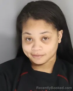 Mugshot of ASHLEE SULLIVAN