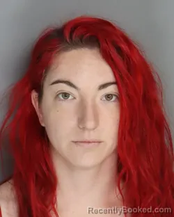 Mugshot of BRITTNY SANDERS