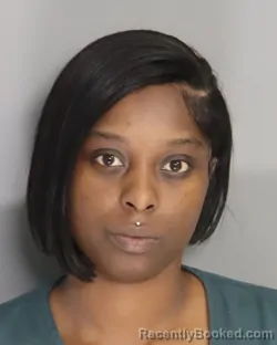 Mugshot of BRIANA LEWIS