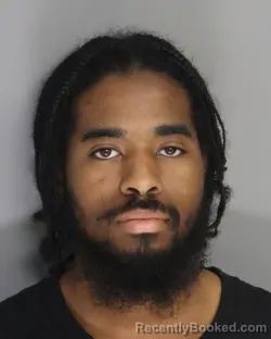 Mugshot of TORENZ MEYERS