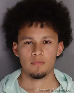 Mugshot of CRISTIAN PULIDO-OSORIO