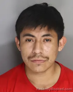 Mugshot of ALFUNSO ORTIZ-URBANO