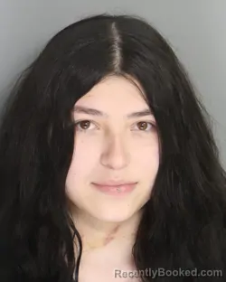 Mugshot of ROXANA VINE