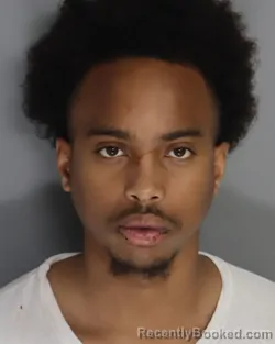 Mugshot of TRAVIS BROWN