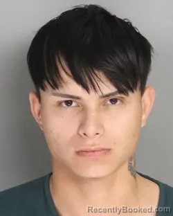 Mugshot of EMERSON PEREZ AGUIRRE