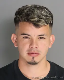 Mugshot of JOSUE PAIS-TAVORA