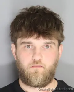 Mugshot of DYSON HIGGINS