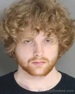 Mugshot of WESLEY KNAPP