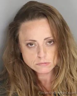 Mugshot of HEATHER AYRES booked in Aiken County, South Carolina on June 2, 2026