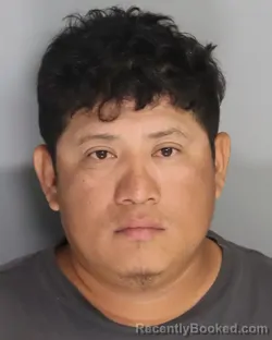 Mugshot of MELSIN MOLINA MATUL booked in Aiken County, South Carolina on April 25, 2026