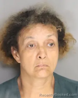 Mugshot of MICHELLE HENLEY booked in Aiken County, South Carolina on April 28, 2026