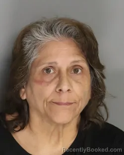 Mugshot of TINA MENDEZ booked in Aiken County, South Carolina on May 12, 2026