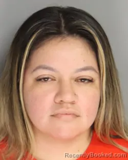 Mugshot of BRENDA HERNANDEZ ZAVALA booked in Aiken County, South Carolina on July 3, 2026
